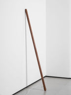 Line Assist Ambience Floor Lamp
