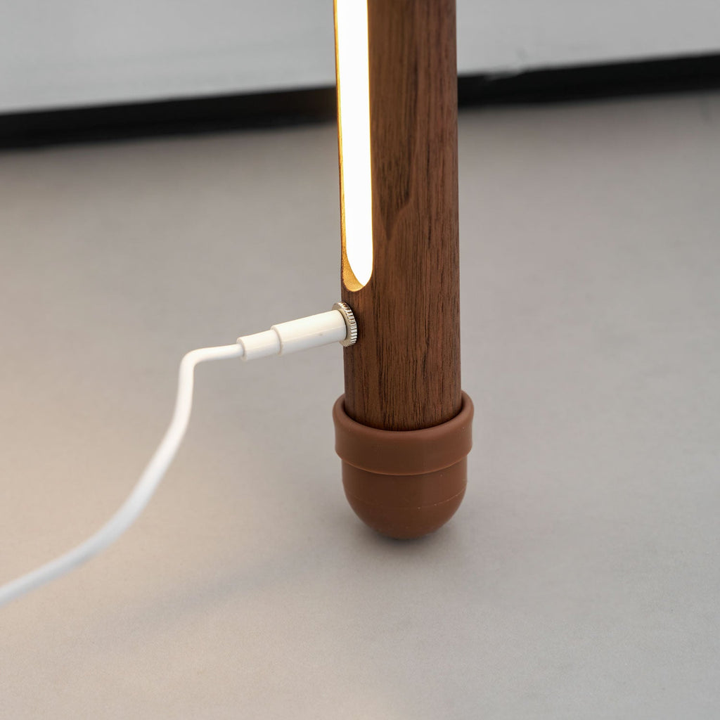 Line Assist Ambience Floor Lamp