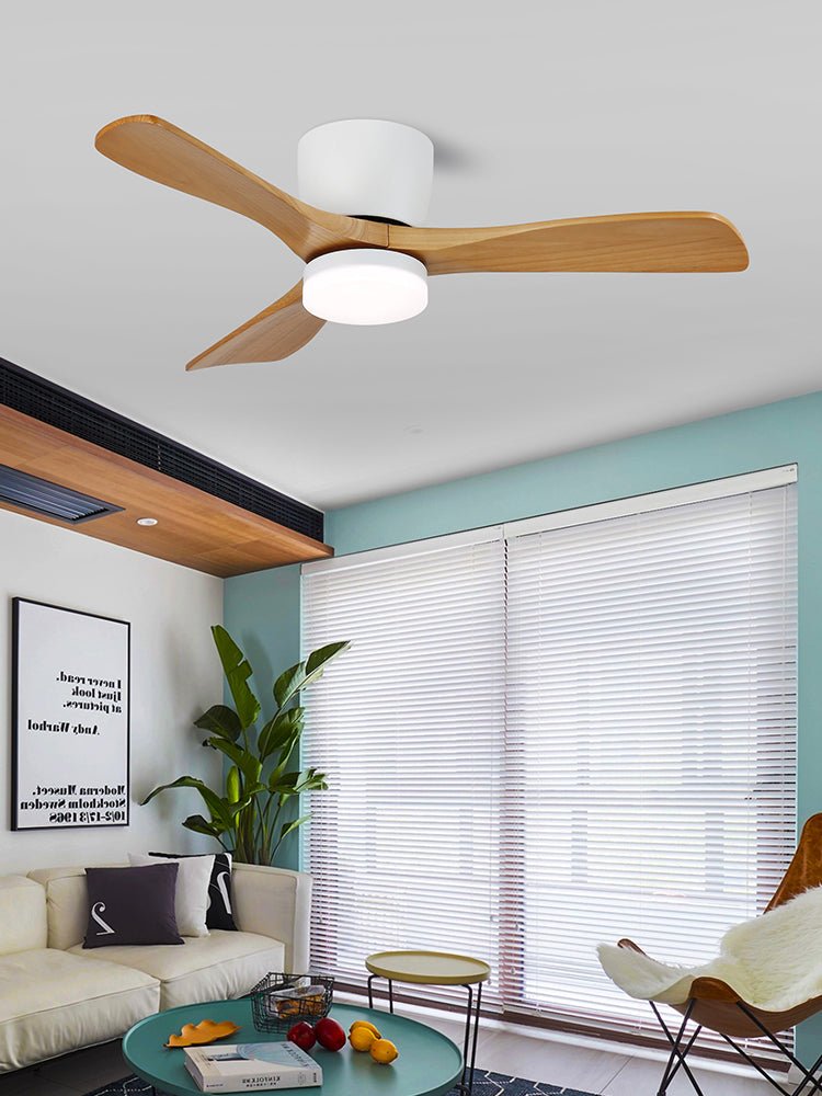 Aerodynamics 42"/52" Ceiling Fan Light