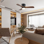 Aerodynamics 42"/52" Ceiling Fan Light