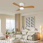Aerodynamics 42"/52" Ceiling Fan Light