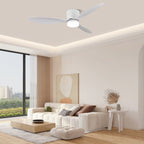 Aerodynamics 42"/52" Ceiling Fan Light