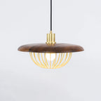 Kasa Pendant Lamp