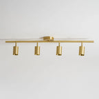 Cylinder Brass Series Ceiling Lamp