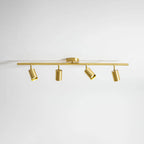 Cylinder Brass Series Ceiling Lamp