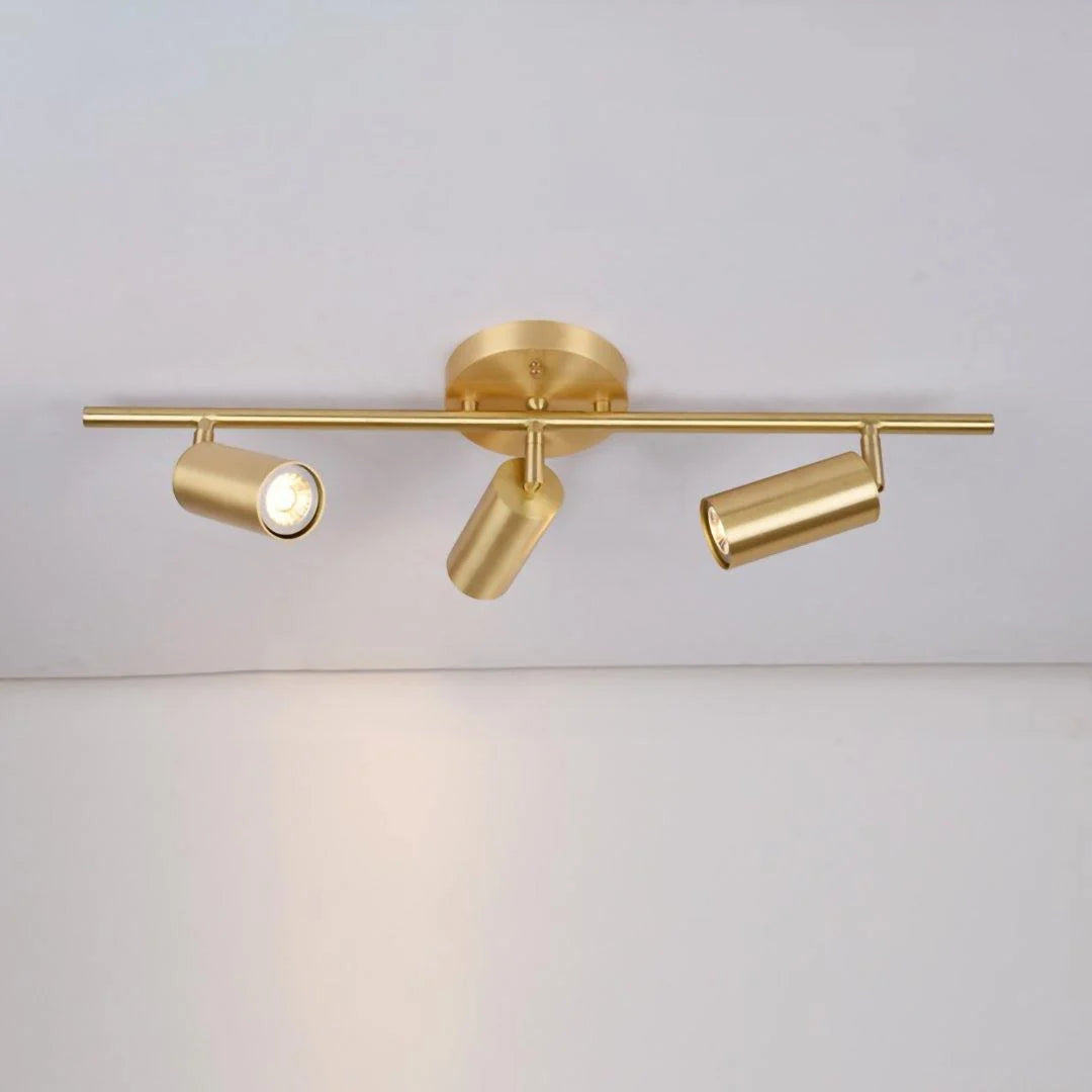 Cylinder Brass Series Ceiling Lamp