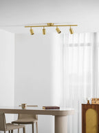 Cylinder Brass Series Ceiling Lamp