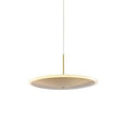 Chrona Dish Pendant Light