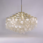 Round Shell Chandelier