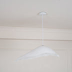 Moby Dick Pendant Light