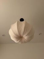Aldwin Pendant Lamp