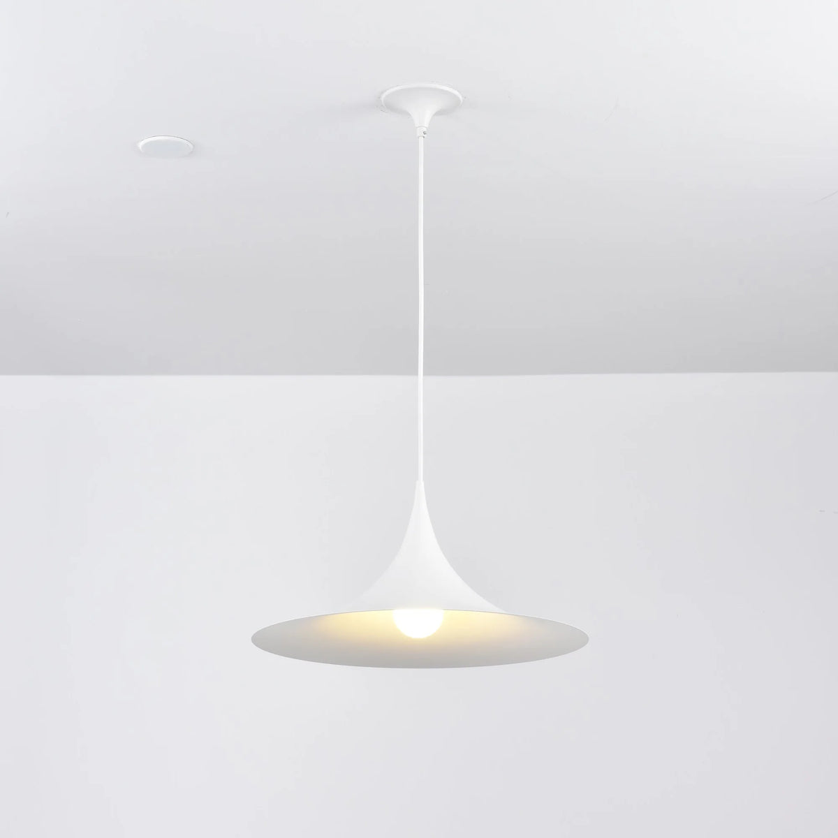 Semi Pendant Light