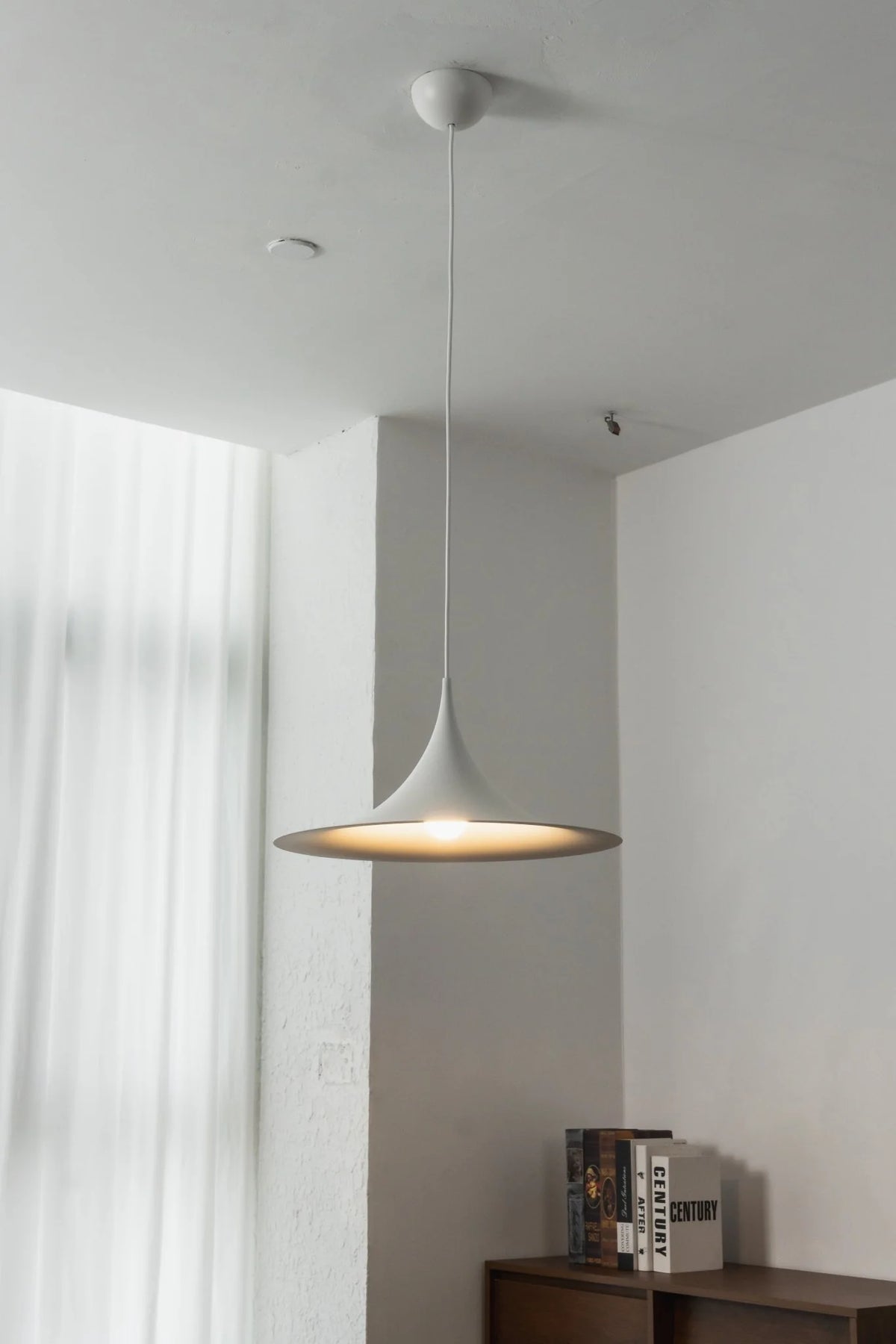 Semi Pendant Light
