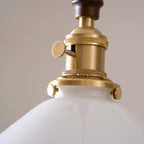 Flower Petals Pendant Lamp