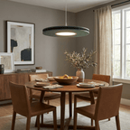 Disc Acoustic Pendant Light