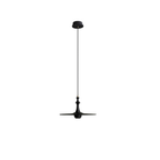 Wooden Spin Pendant Light