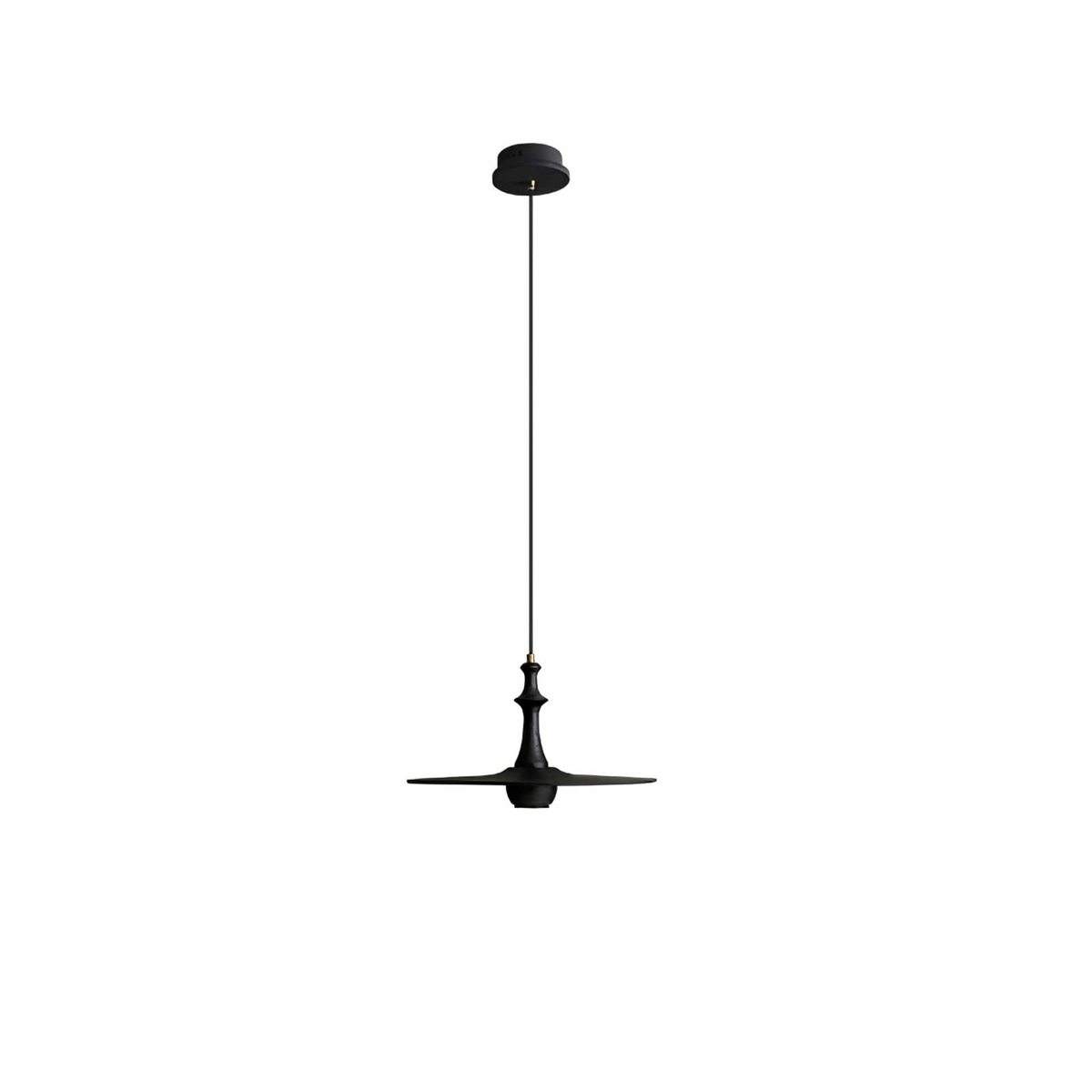 Wooden Spin Pendant Light