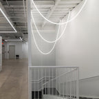 Flexible Curve Pendant Lamp