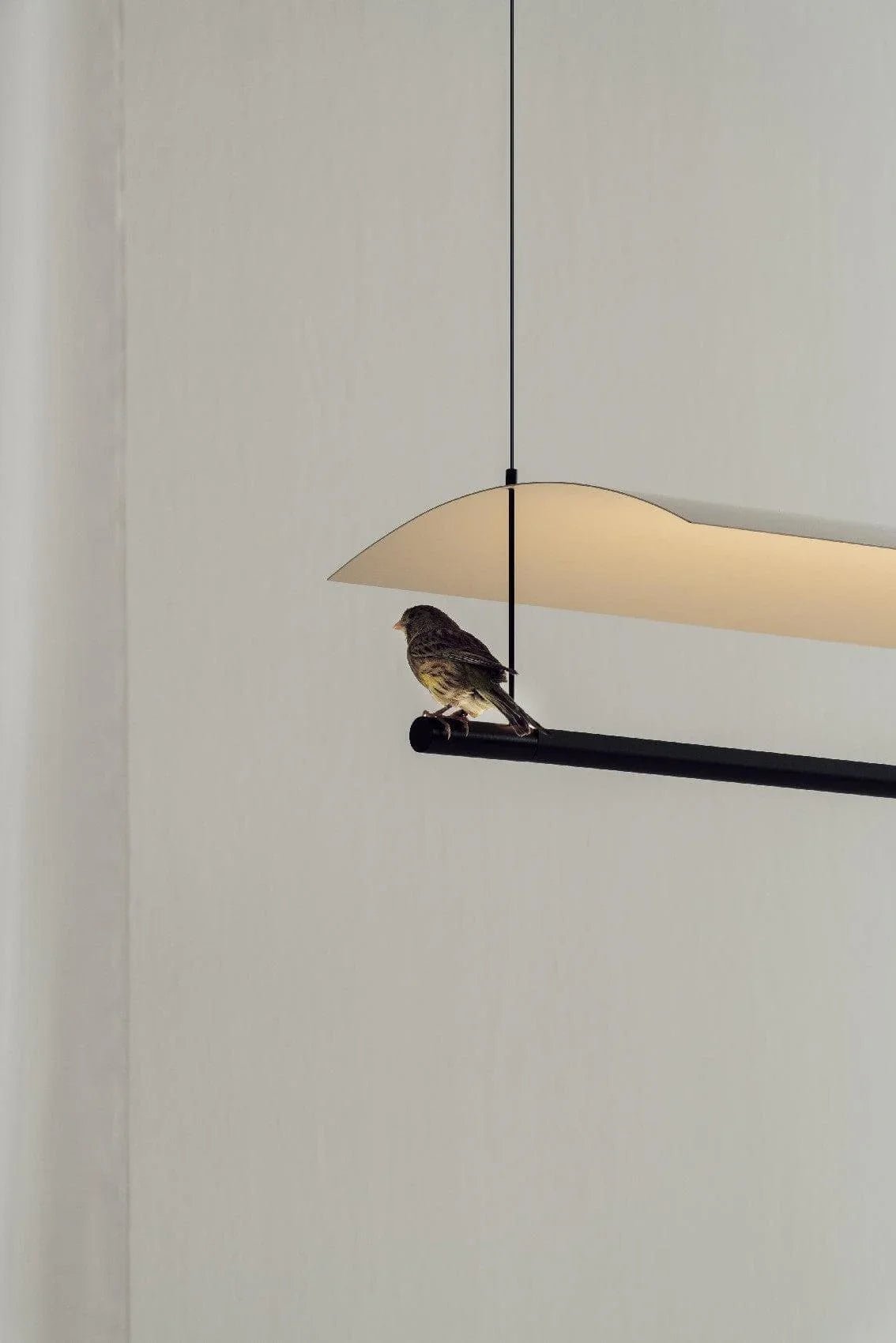 Lamina Linear Pendant Lamp