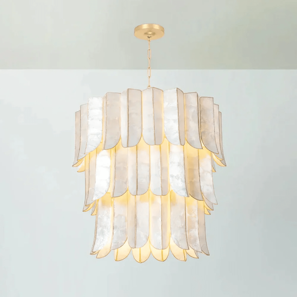 Cascara Shell Chandelier