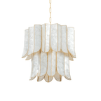 Cascara Shell Chandelier