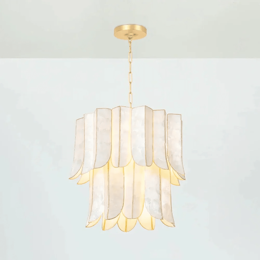 Cascara Shell Chandelier