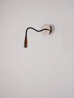 Flexi Hose Plug-in Wall Light