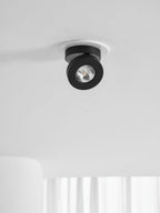 Round Rotating LED Downlight