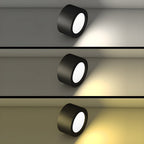 Ethan Surface Ceiling Light