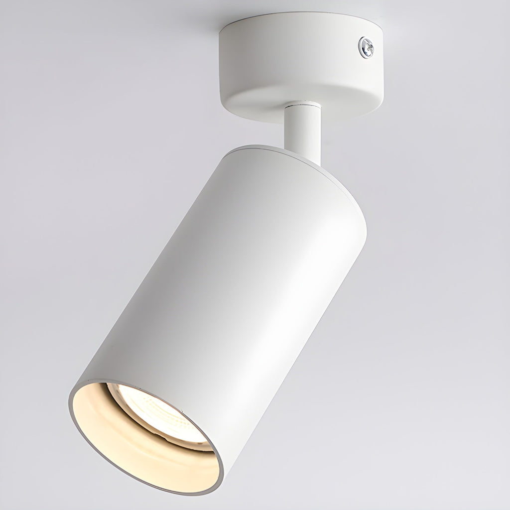 Arlo Accent Spotlight