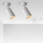 Arlo Accent Spotlight