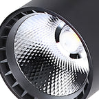 Calla Beam Spotlight