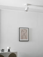 Calla Beam Spotlight