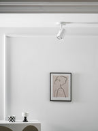 Calla Beam Spotlight