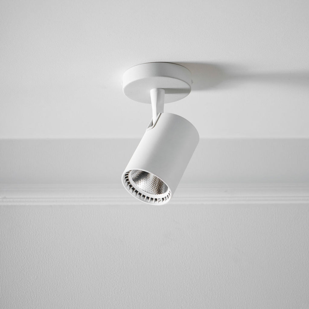 Calla Beam Spotlight