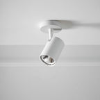 Calla Beam Spotlight