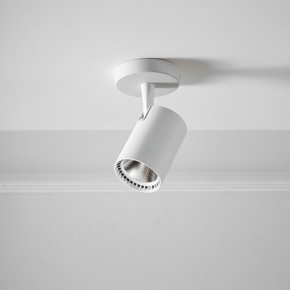 Calla Beam Spotlight