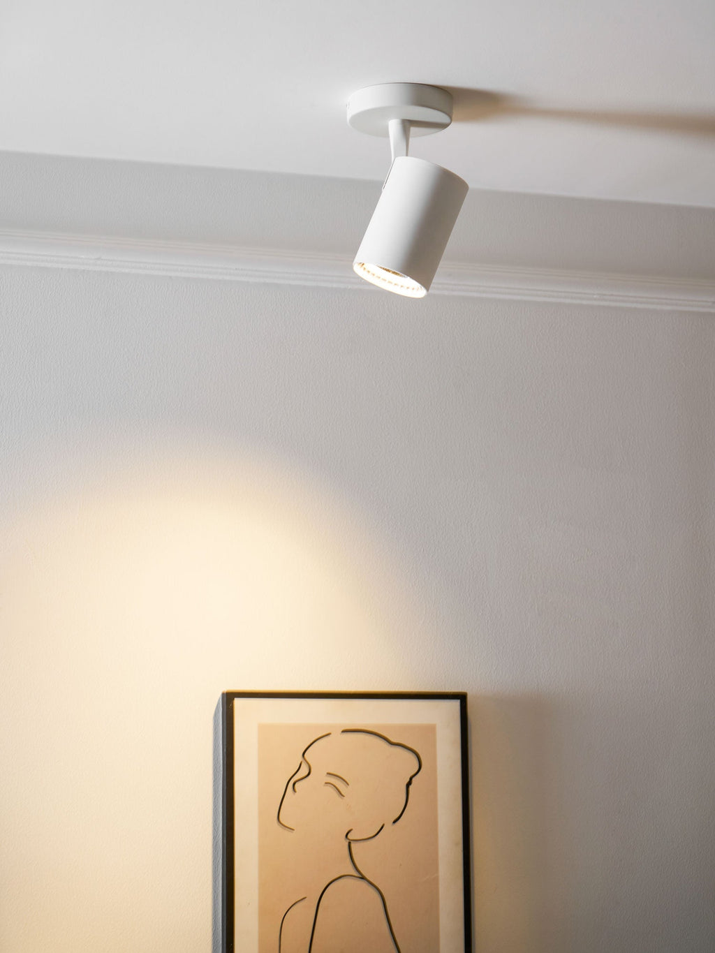 Calla Beam Spotlight