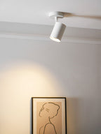 Calla Beam Spotlight