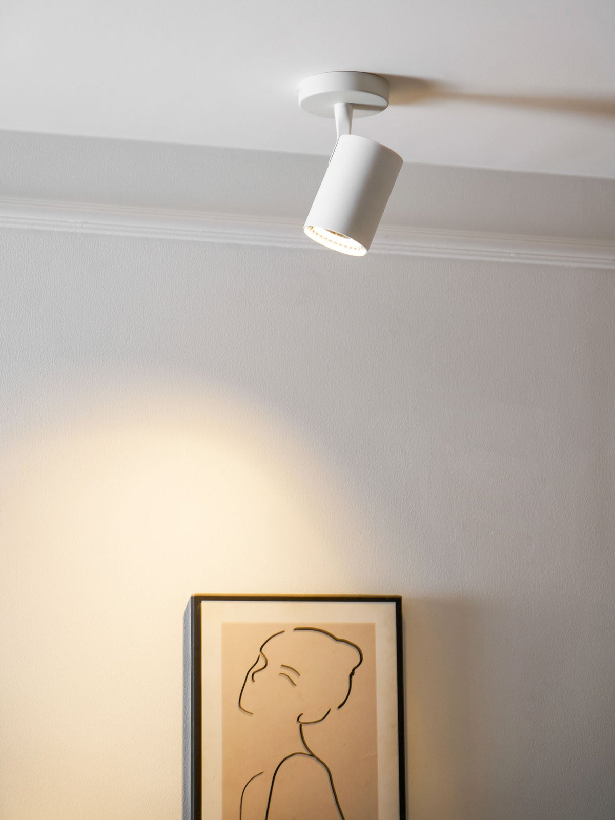 Calla Beam Spotlight