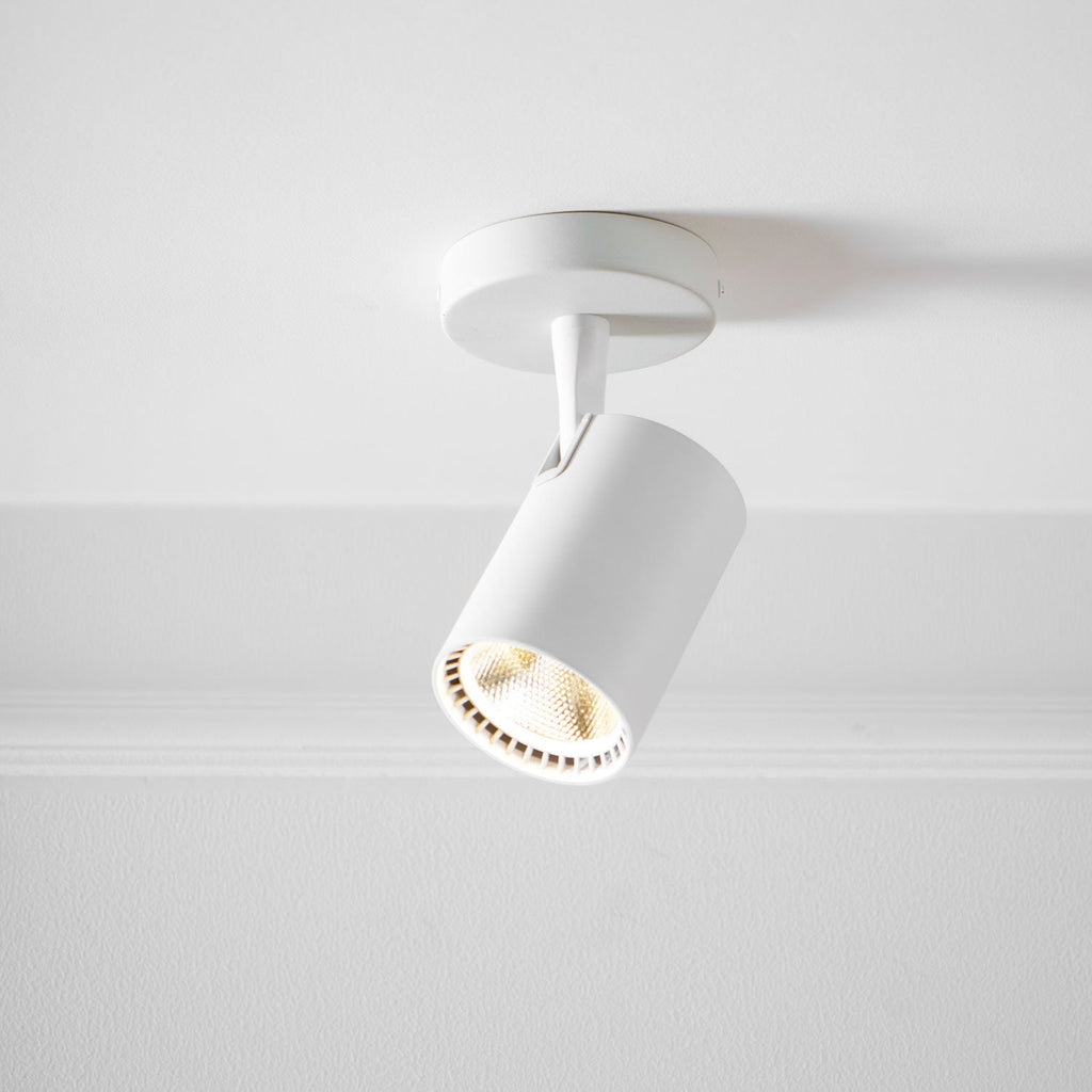 Calla Beam Spotlight