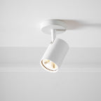 Calla Beam Spotlight