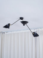 Multi-Arm Spider Ceiling Lamp B