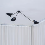 Multi-Arm Spider Ceiling Lamp B