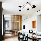 Multi-Arm Spider Ceiling Lamp B