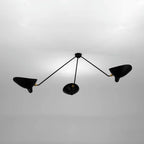 Multi-Arm Spider Ceiling Lamp B