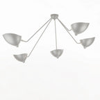 Multi-Arm Spider Ceiling Lamp B