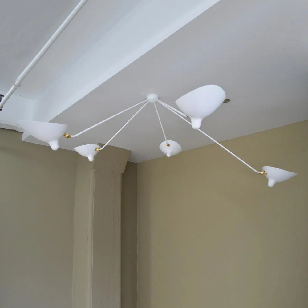 Multi-Arm Spider Ceiling Lamp B