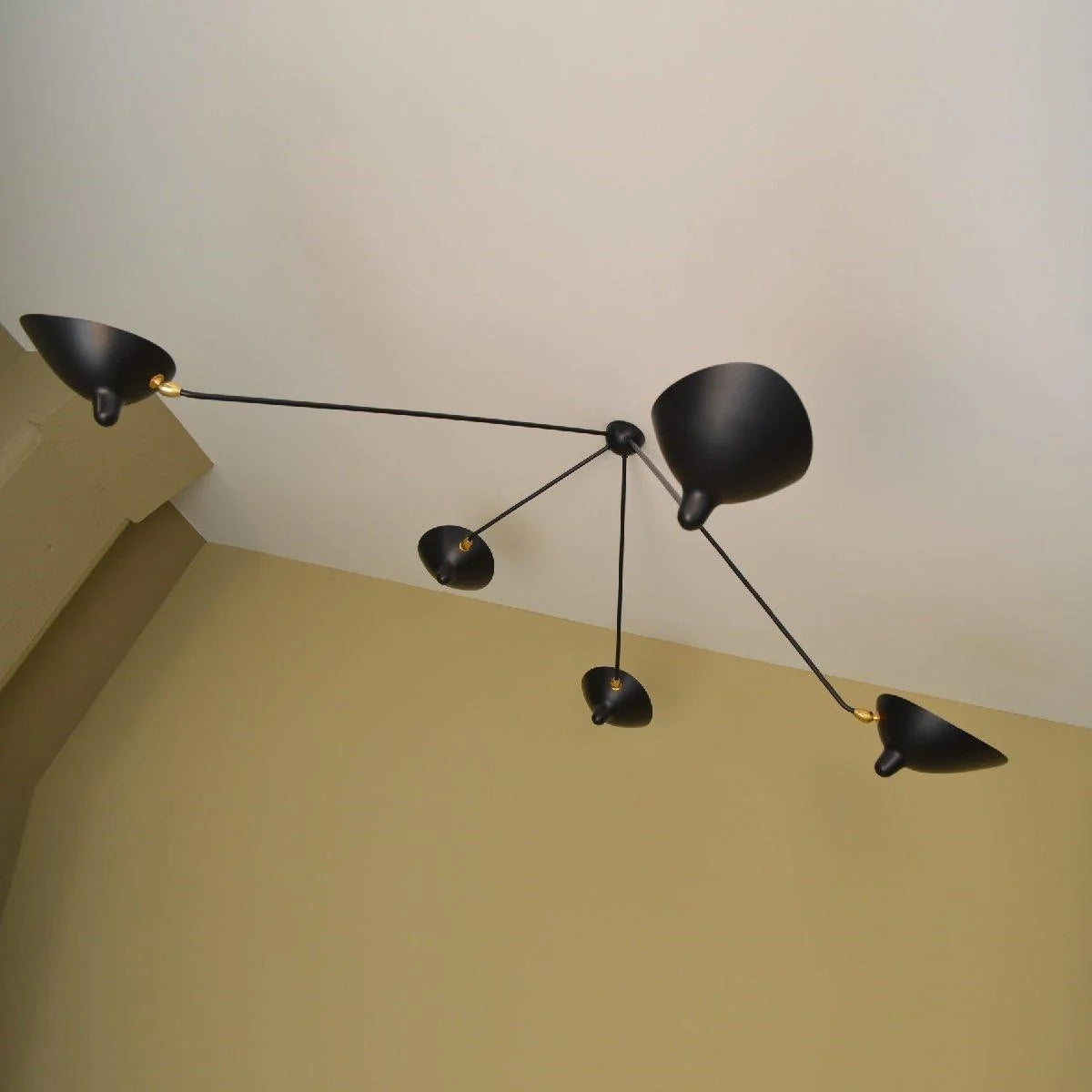 Multi-Arm Spider Ceiling Lamp B