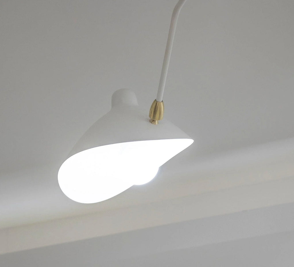 Multi-Arm Spider Ceiling Lamp B